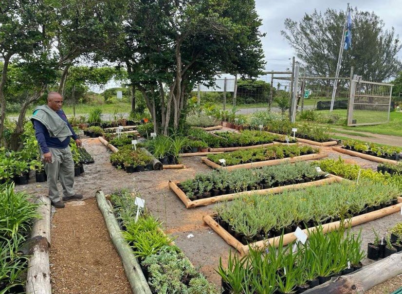 Kwelera National Botanical Garden, South Africa, South Africa